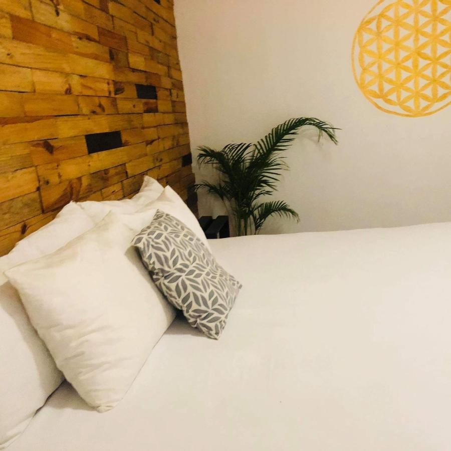 Bed & Breakfast Casa Alebrije *