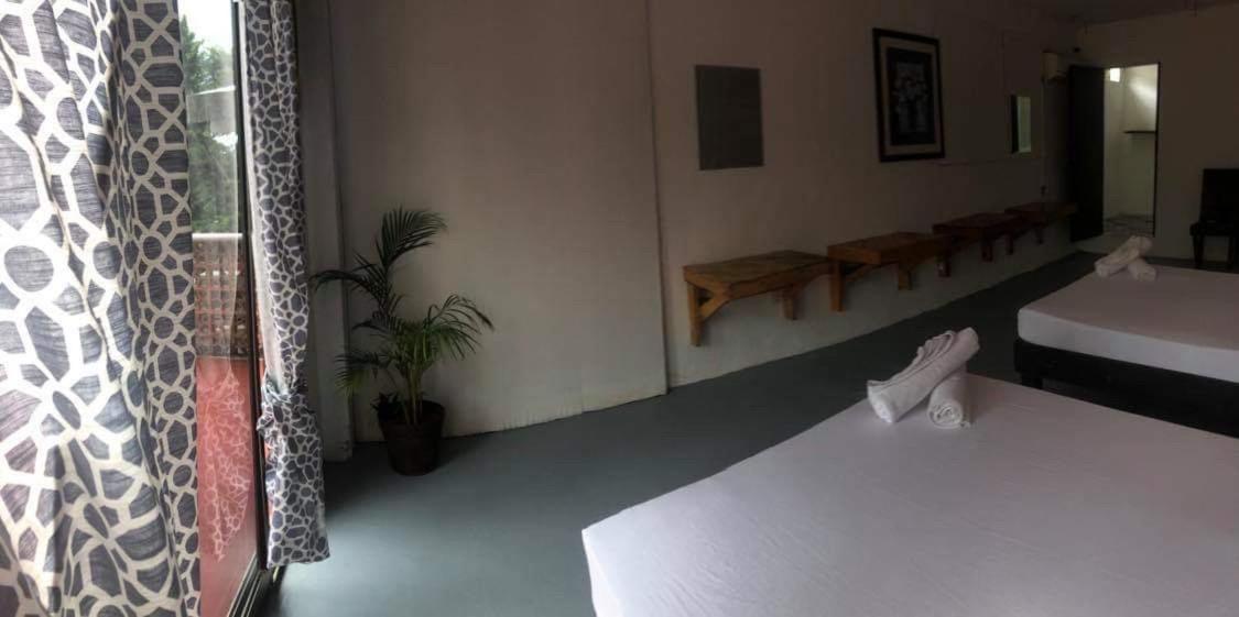 Bed & Breakfast Casa Alebrije